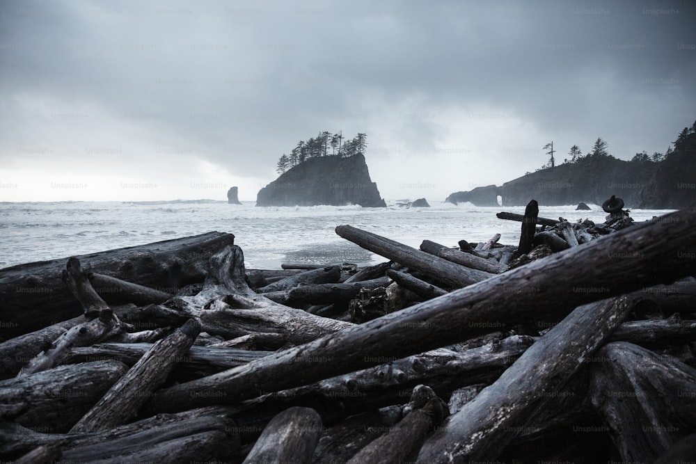 uma pilha de troncos sentada em cima de uma praia