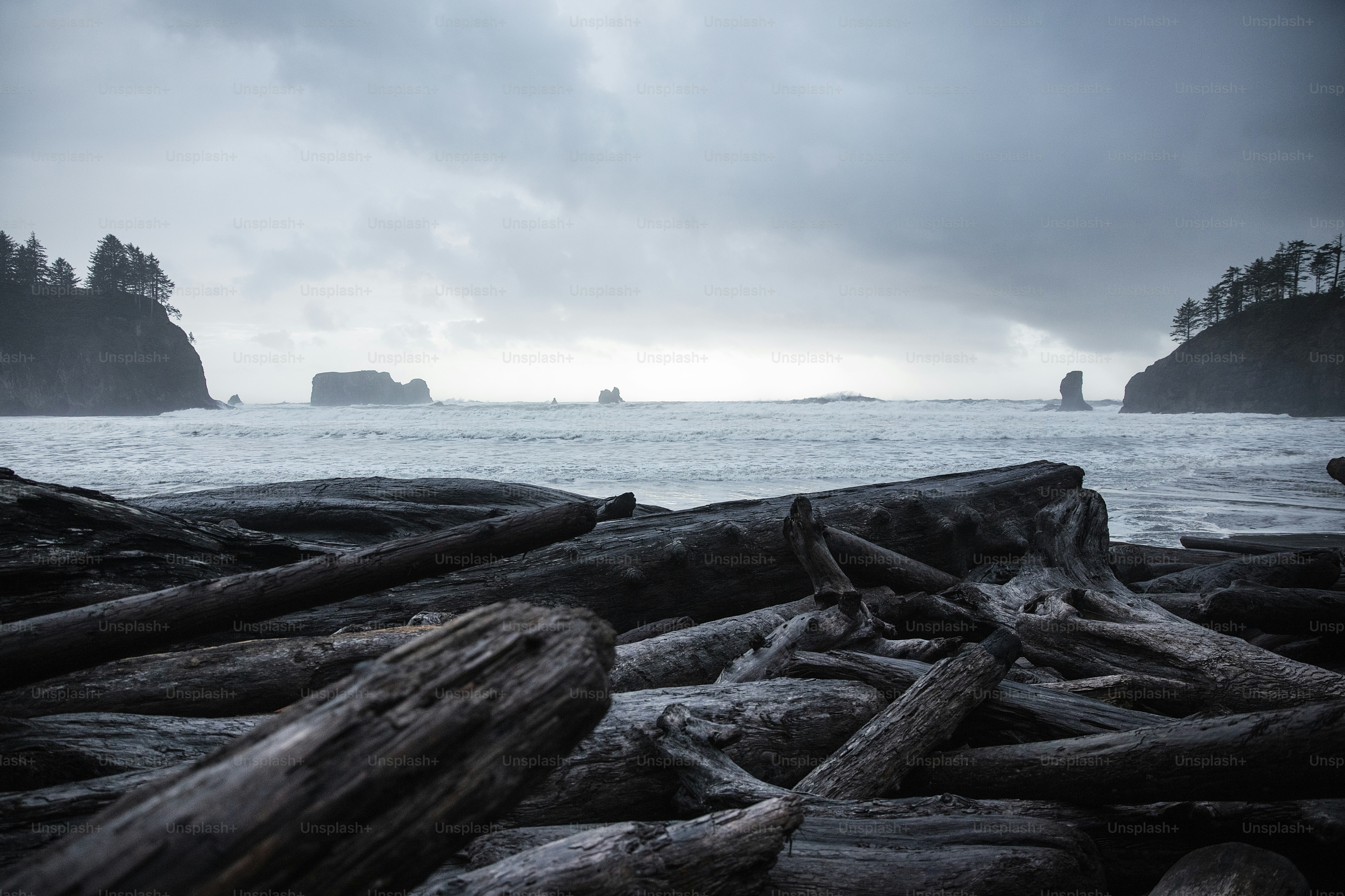 ein Haufen Baumstämme, die auf einem Strand sitzen