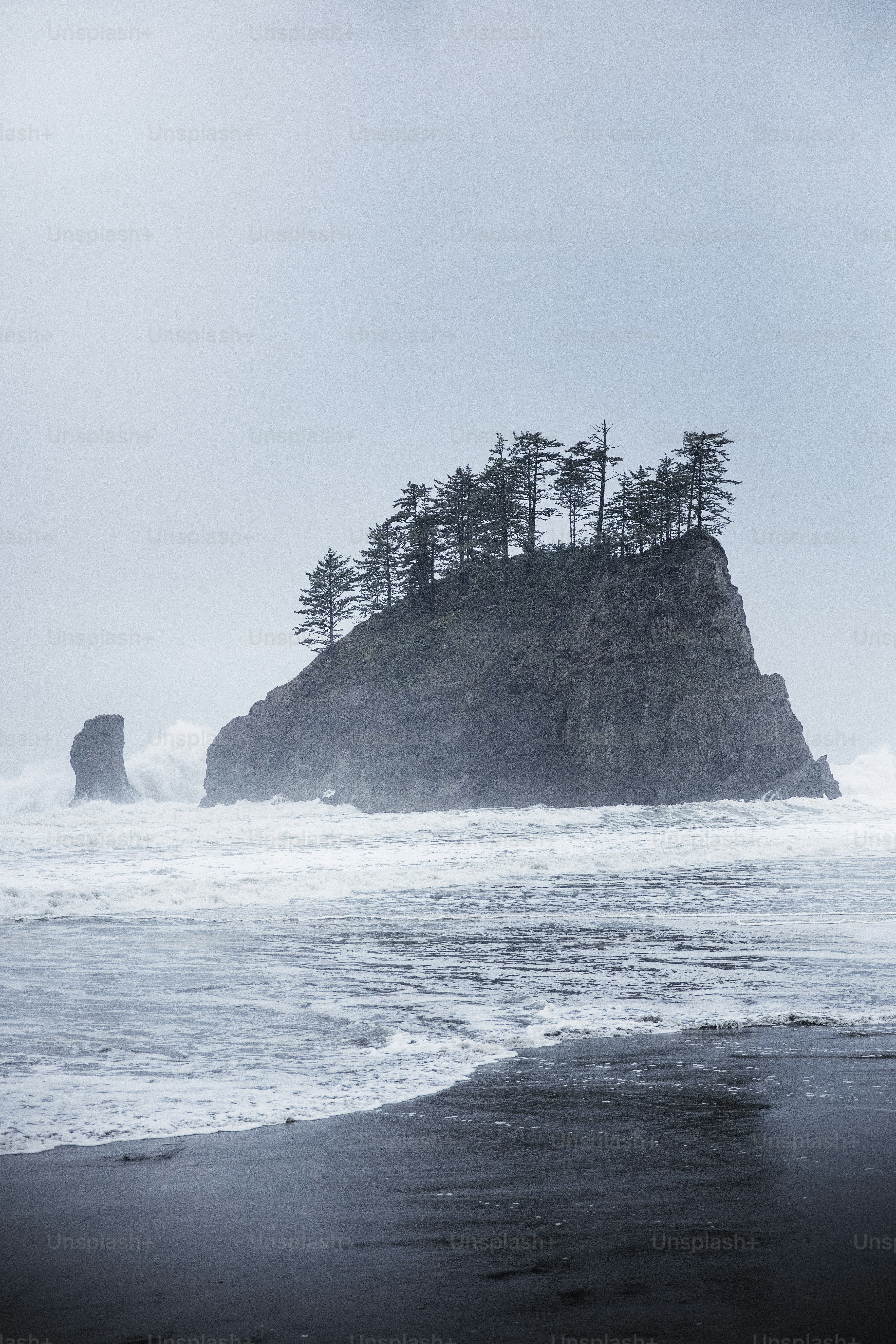 Una piccola isola in mezzo all'oceano