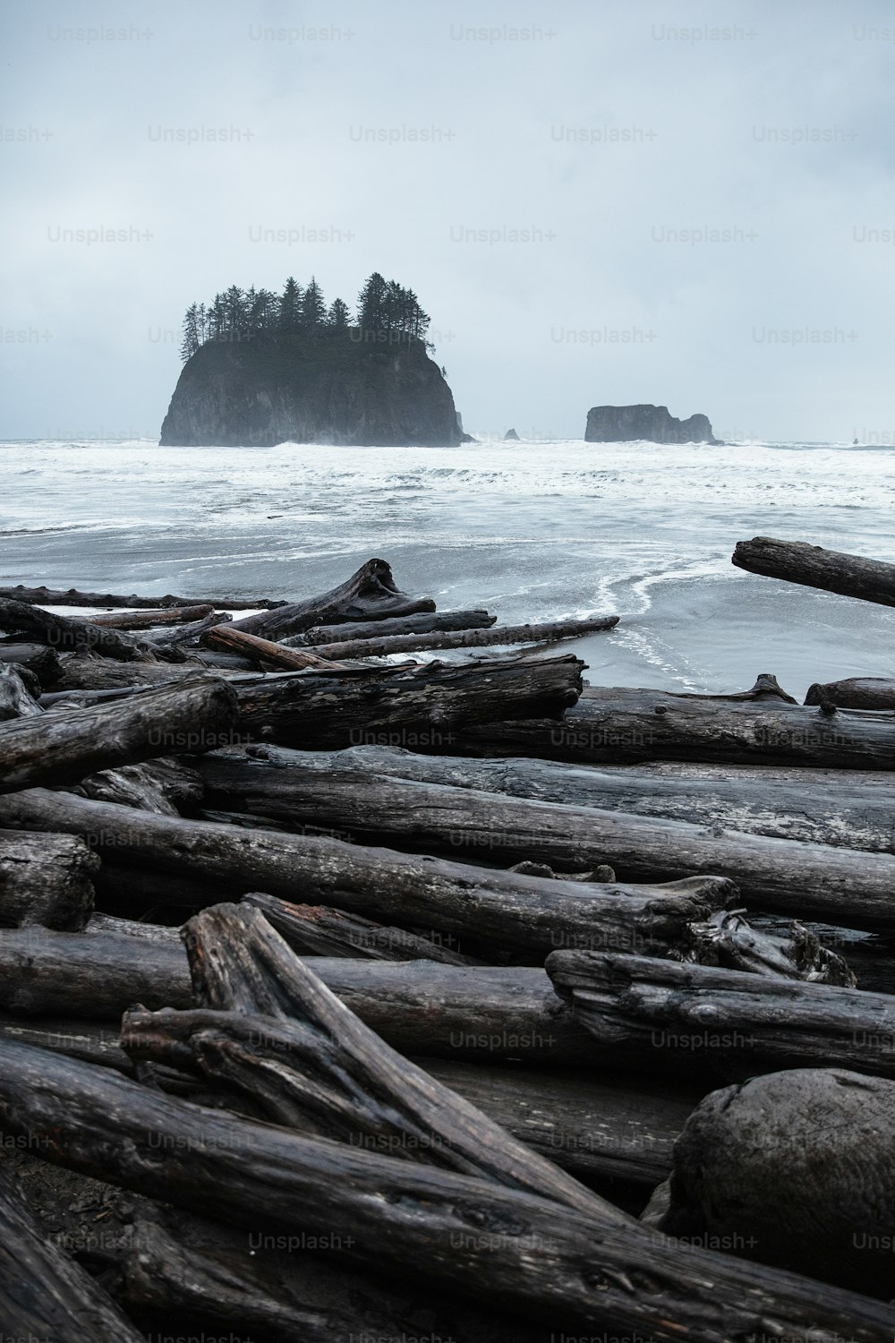 um monte de troncos sentados em cima de uma praia