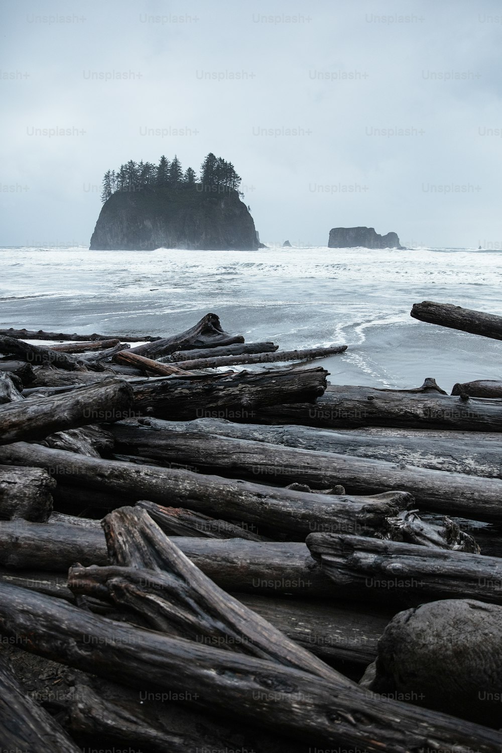 a bunch of logs sitting on top of a beach