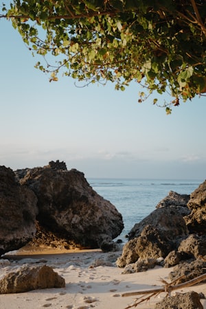 Montego Bay, Jamaica — stroller score 53/100