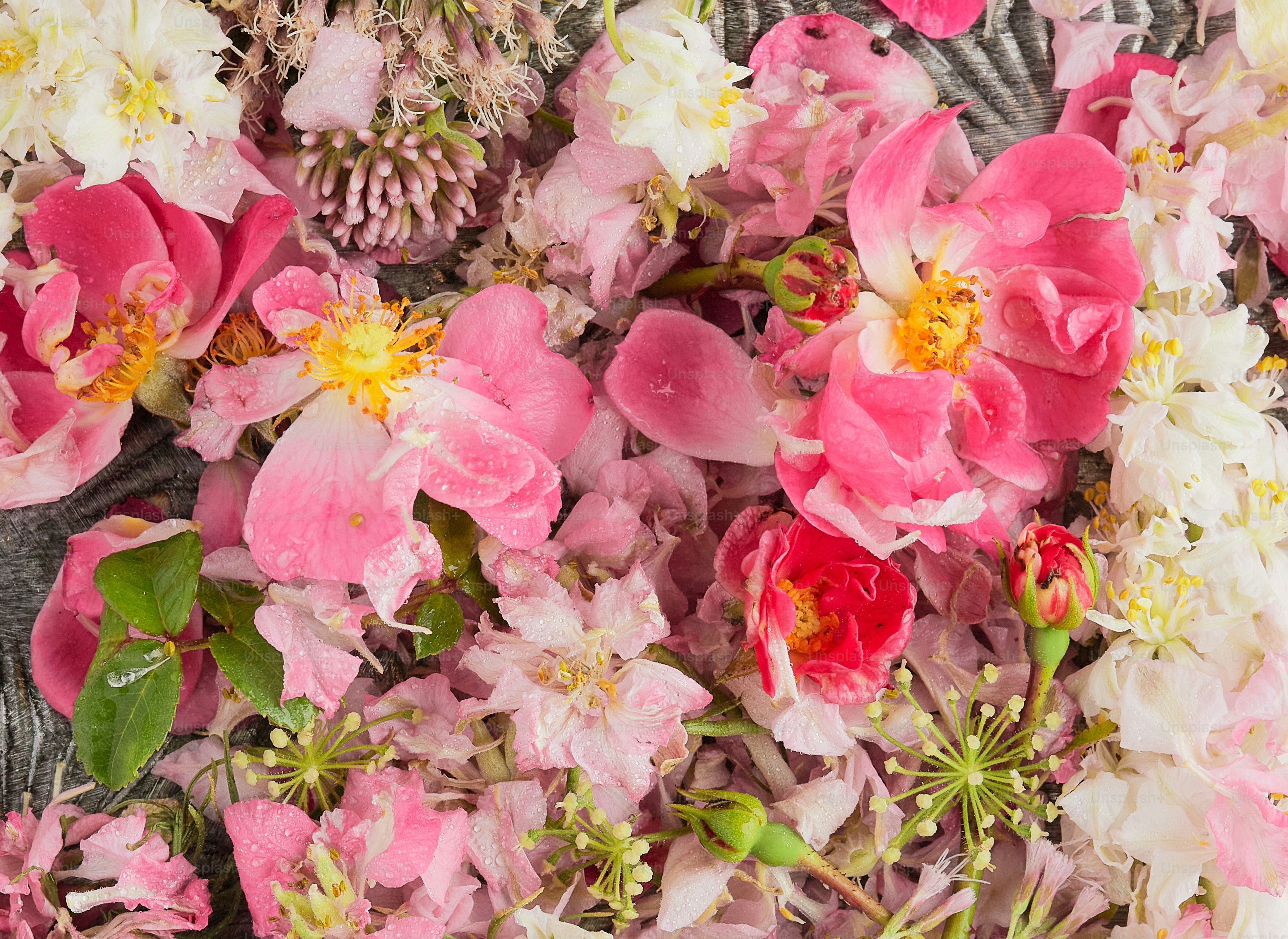 Un ramo de flores rosadas y blancas sobre una mesa
