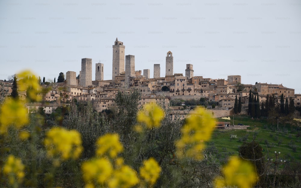 a city with a lot of tall buildings on top of it