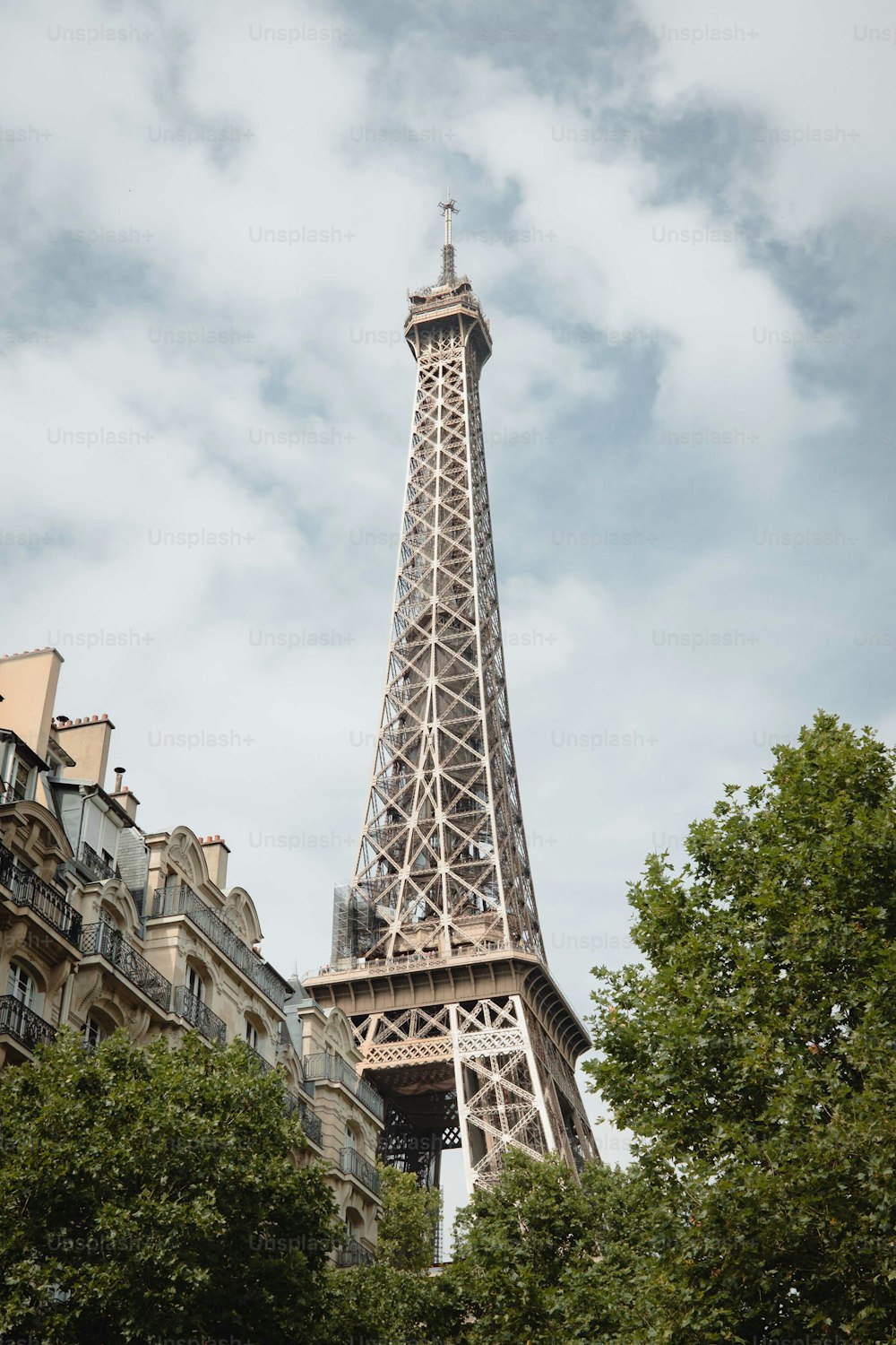 the eiffel tower towering over the city of paris