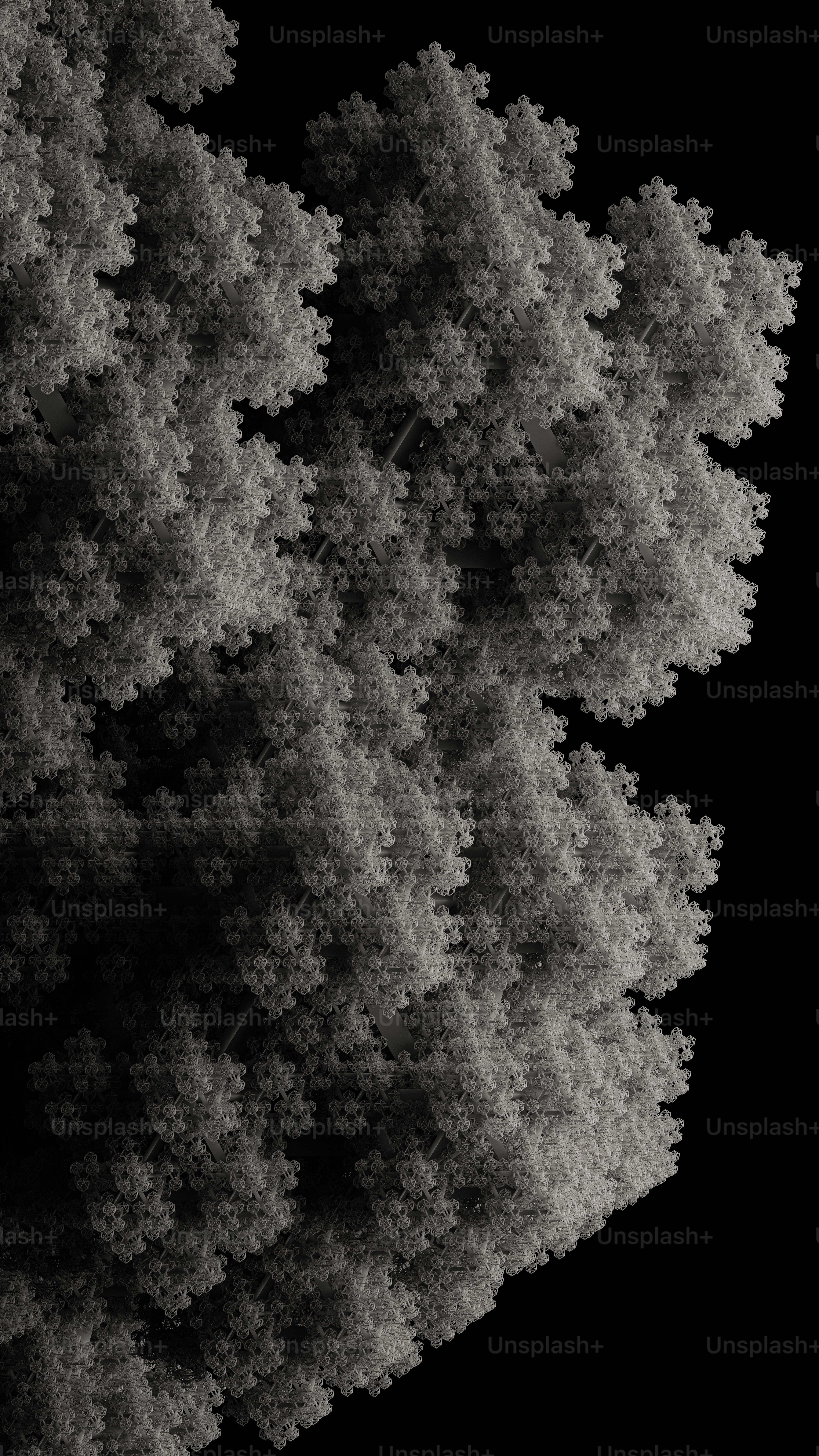 a black and white photo of a group of trees