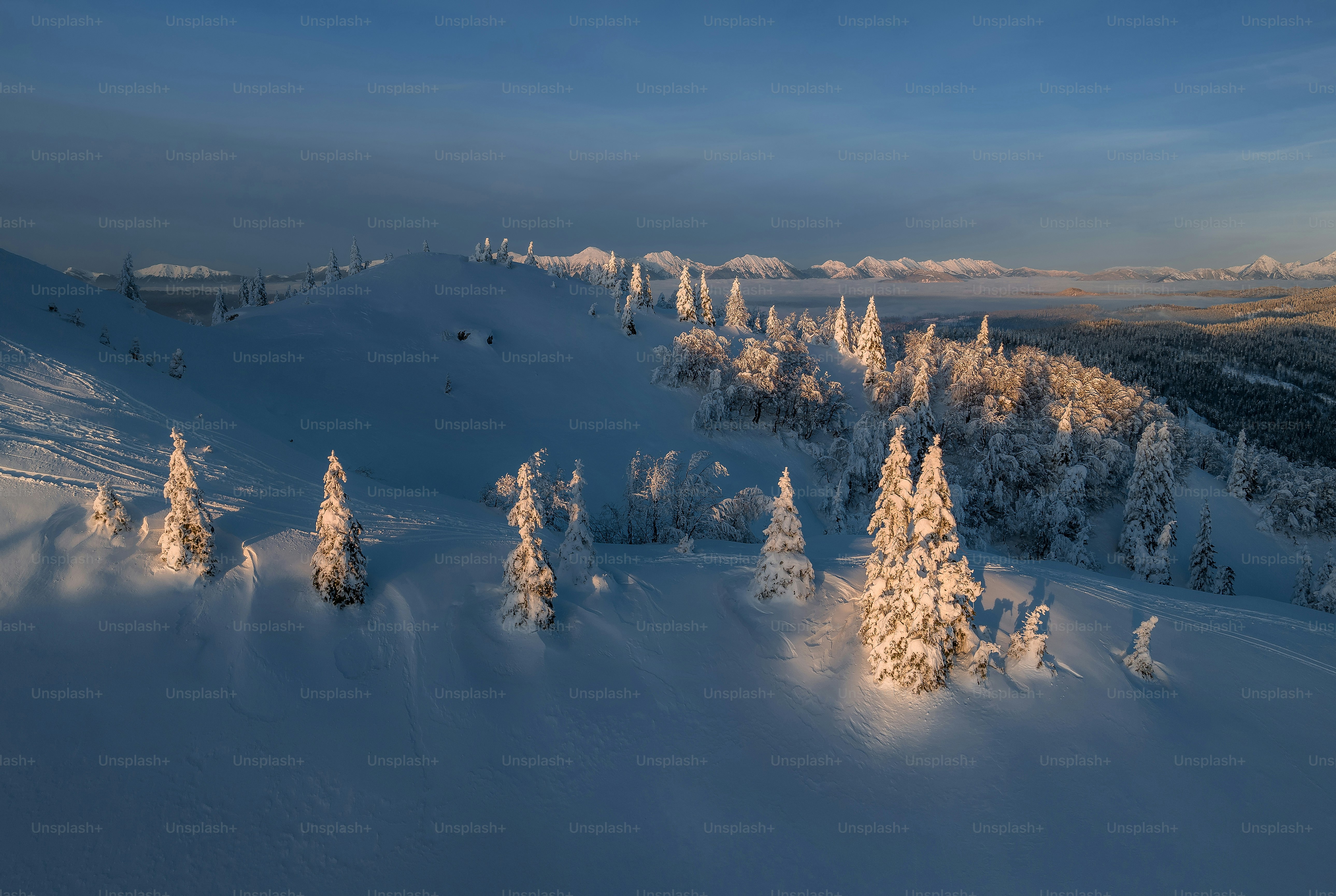 A view of a snowy mountain with trees in the foreground photo ...
