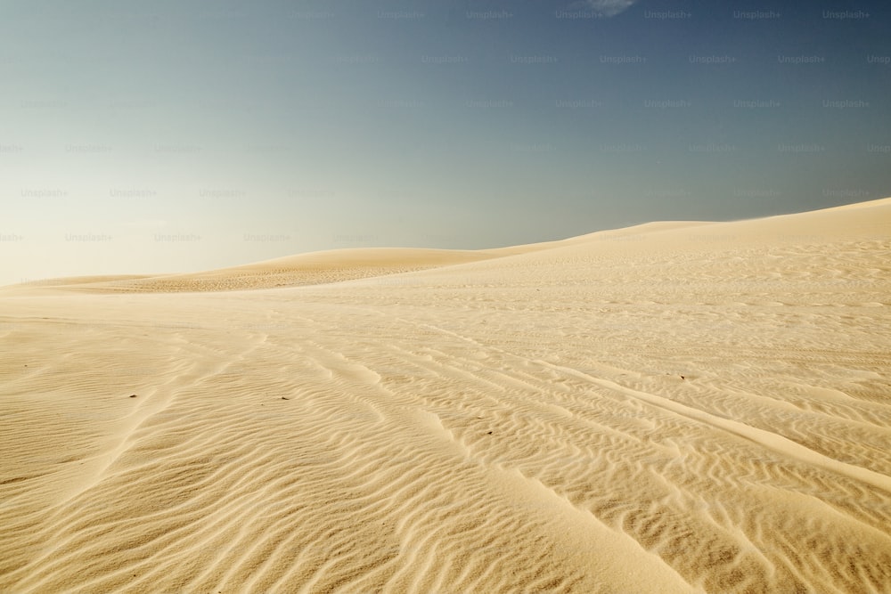 배경에 하늘이 있는 넓은 모래 지역