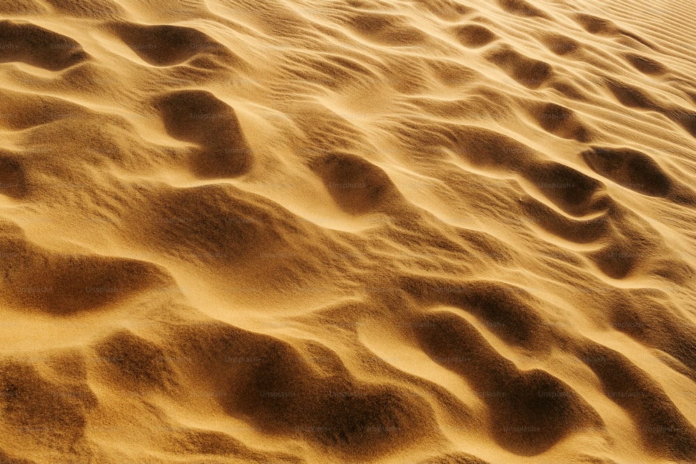 많은 모래로 덮인 모래 해변