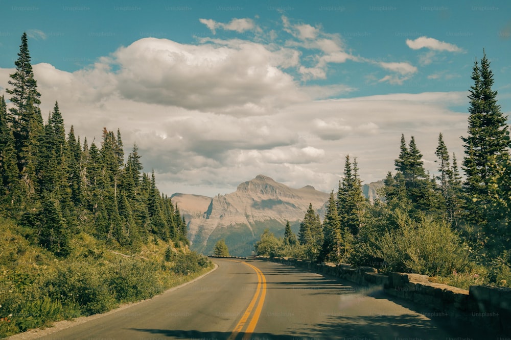 Una strada con alberi e una montagna sullo sfondo