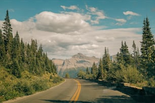 eine Straße mit Bäumen und einem Berg im Hintergrund