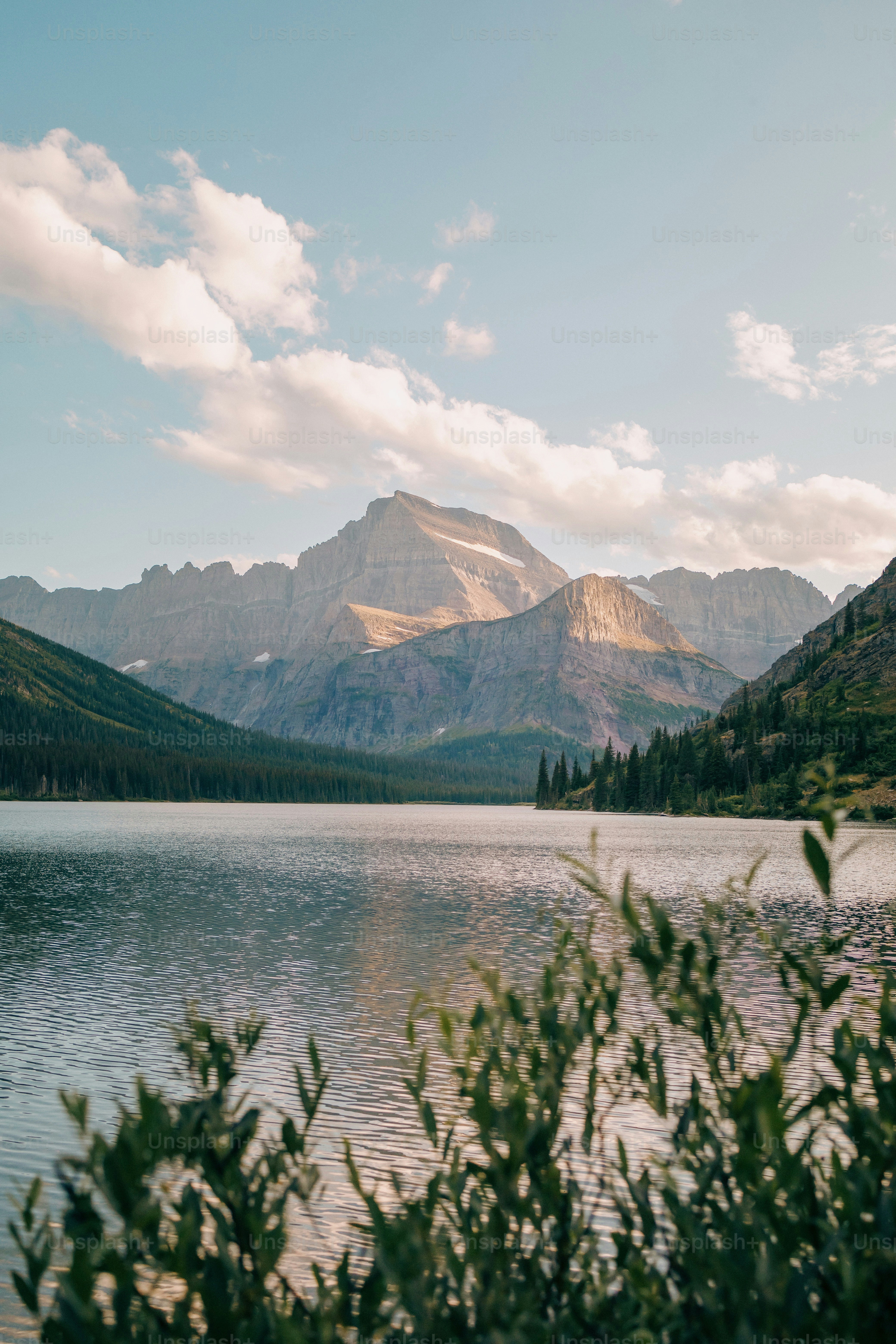 a lake with mountains in the background and trees in the foreground
