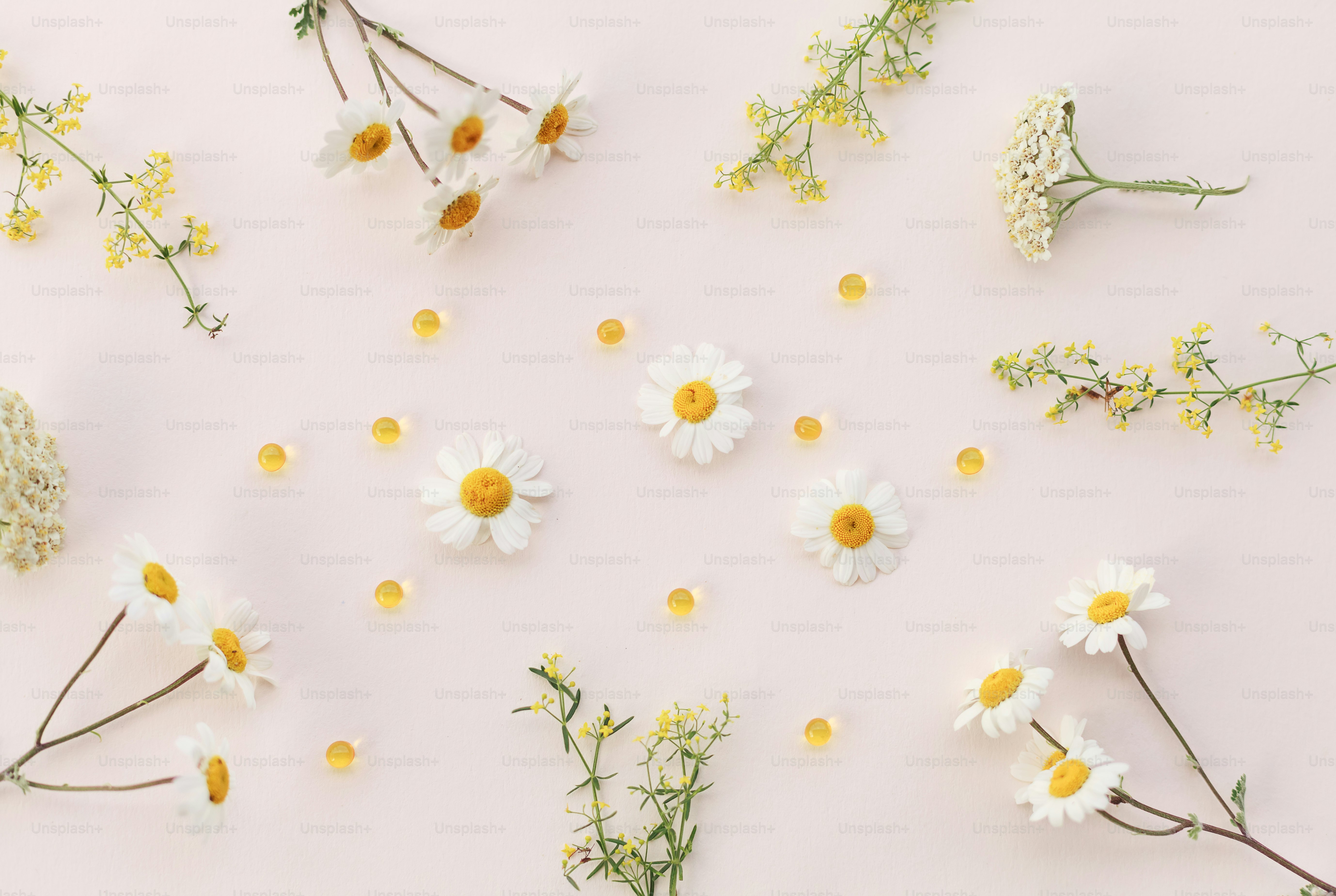 marguerites et autres fleurs disposées sur une surface blanche