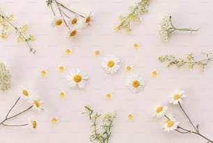 daisies and other flowers laid out on a white surface