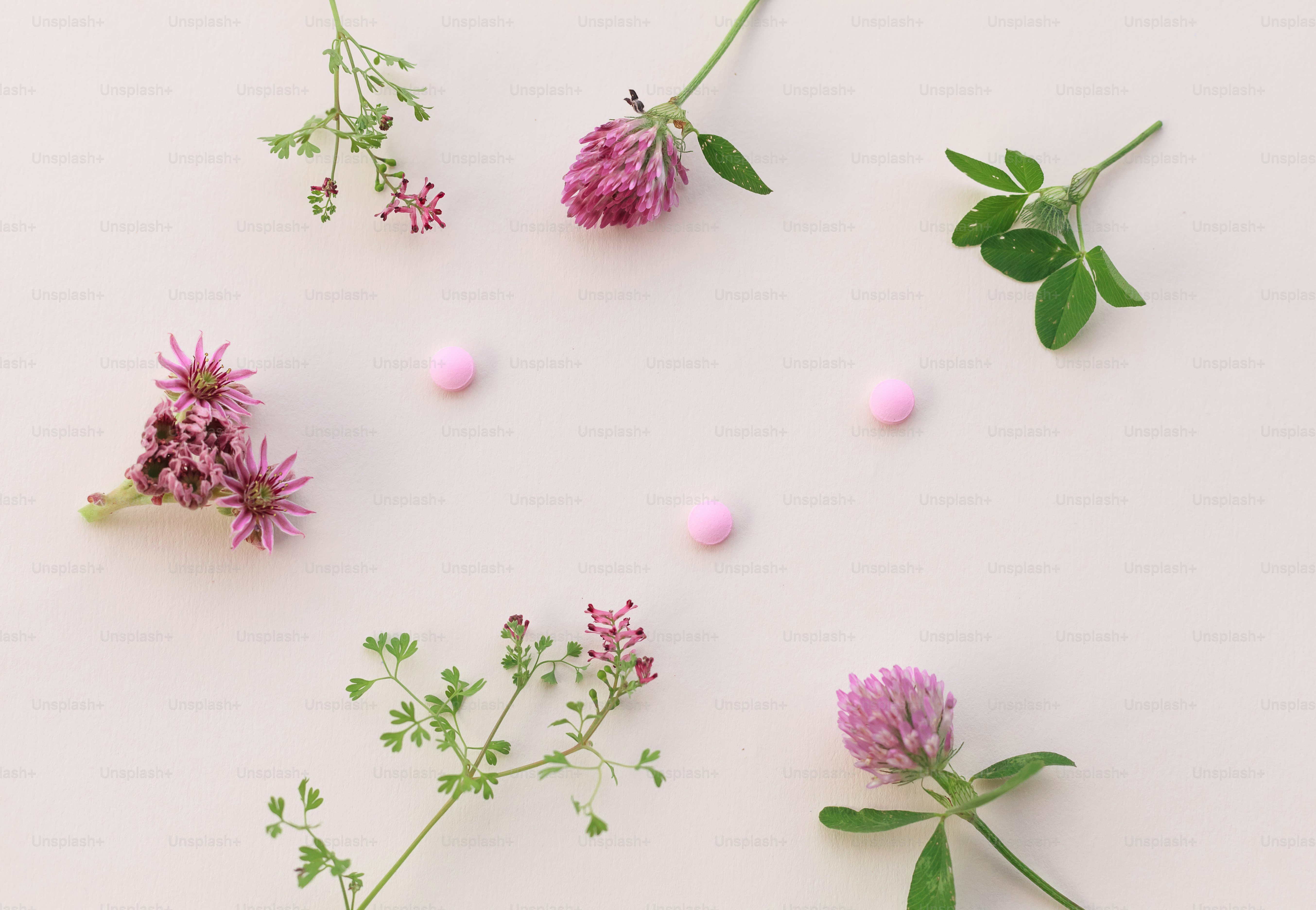fleurs roses et feuilles vertes sur une surface blanche