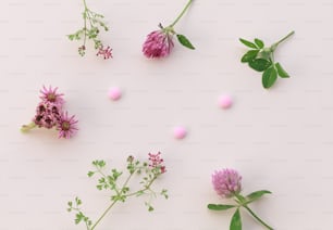 pink flowers and green leaves on a white surface