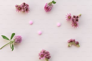 a group of pink flowers and green leaves on a white surface
