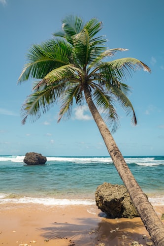 Bunkum Beach Cottages resort