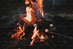 uma fogueira com marshmallows em um pau