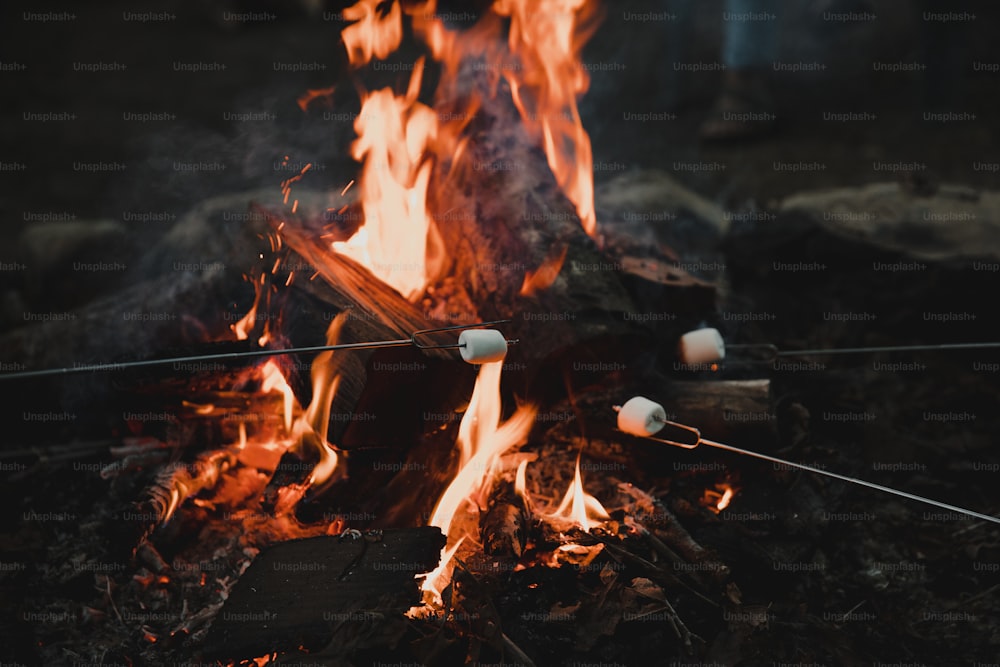 Un feu de camp avec des guimauves sur un bâton