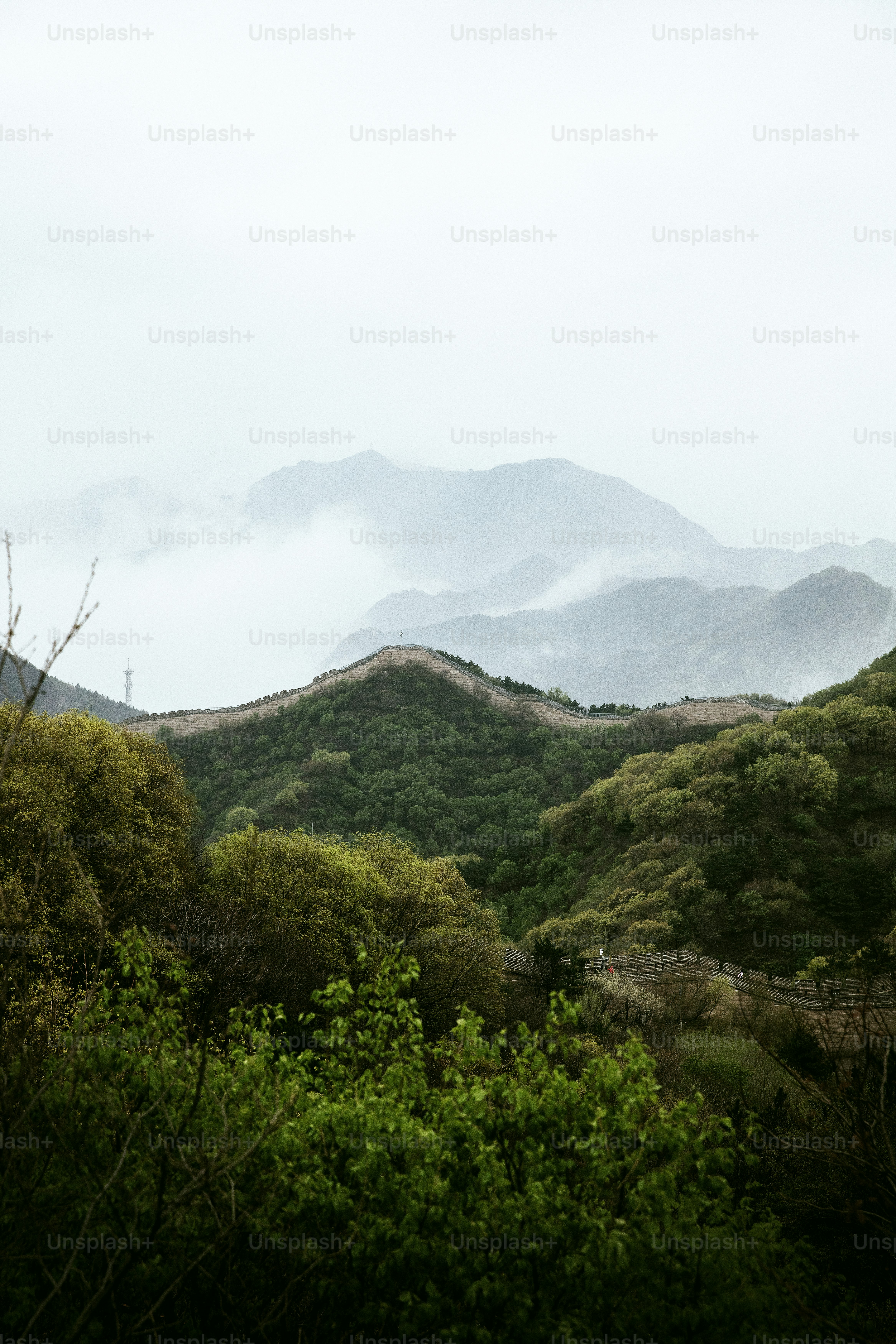 a view of a mountain range with trees and bushes