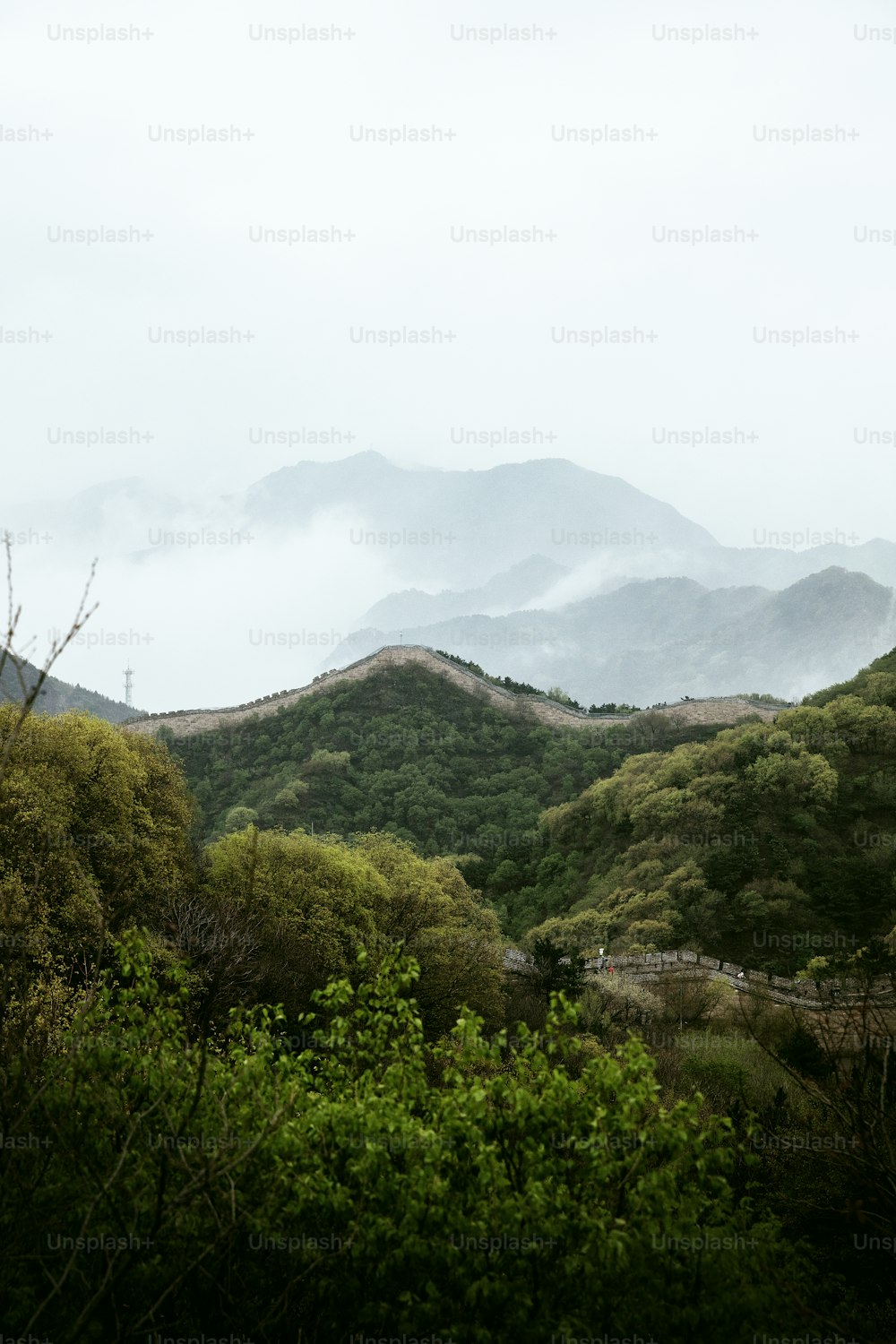 una vista de una cordillera con árboles y arbustos