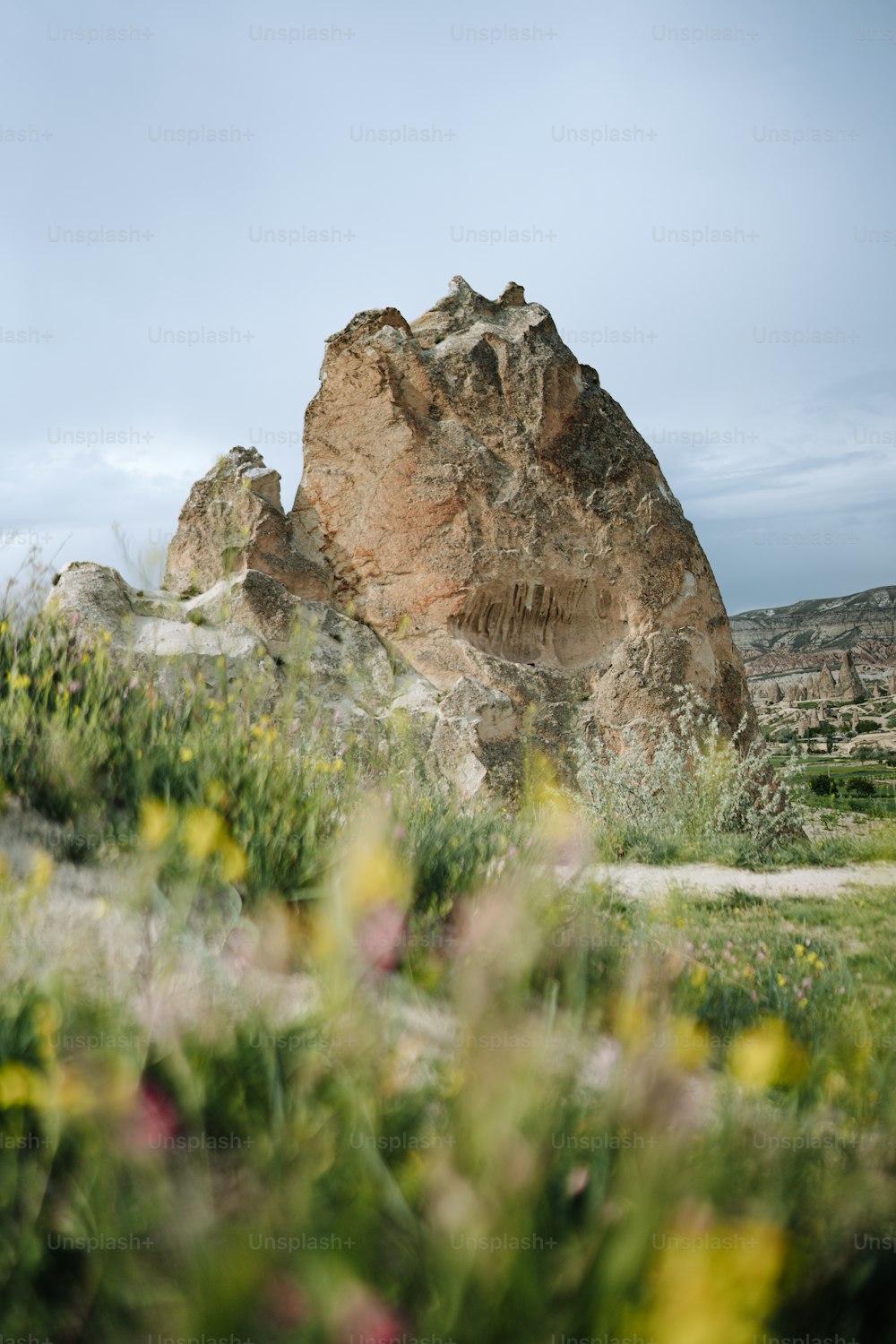 緑豊かな野原の上に座る大きな岩