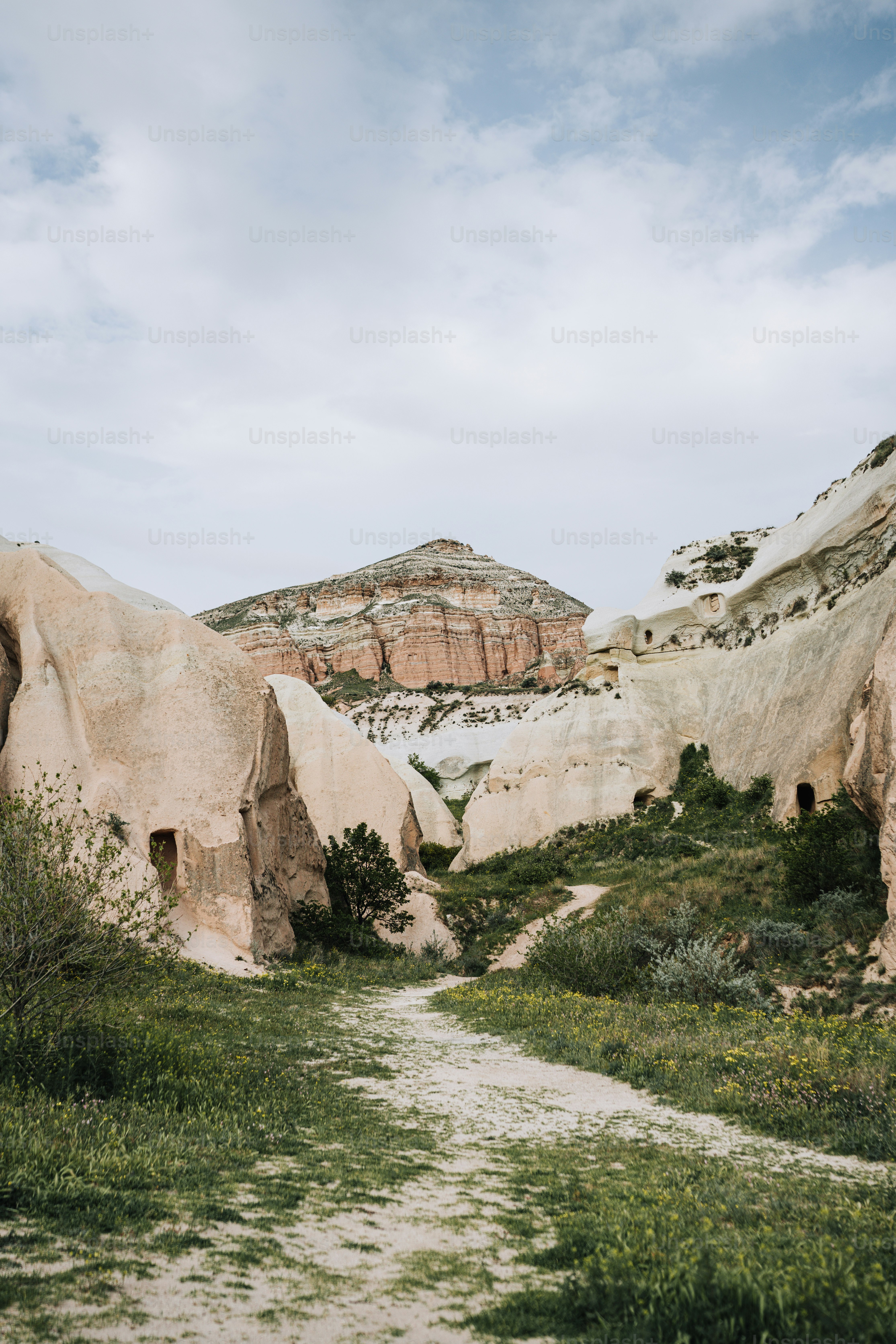 a dirt path in the middle of a grassy area