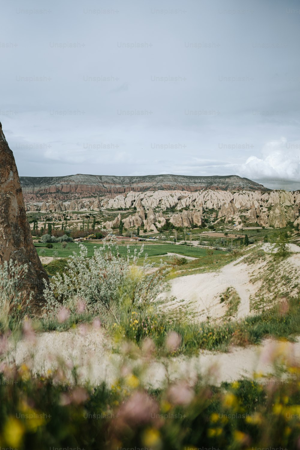 a large rock sitting in the middle of a lush green field