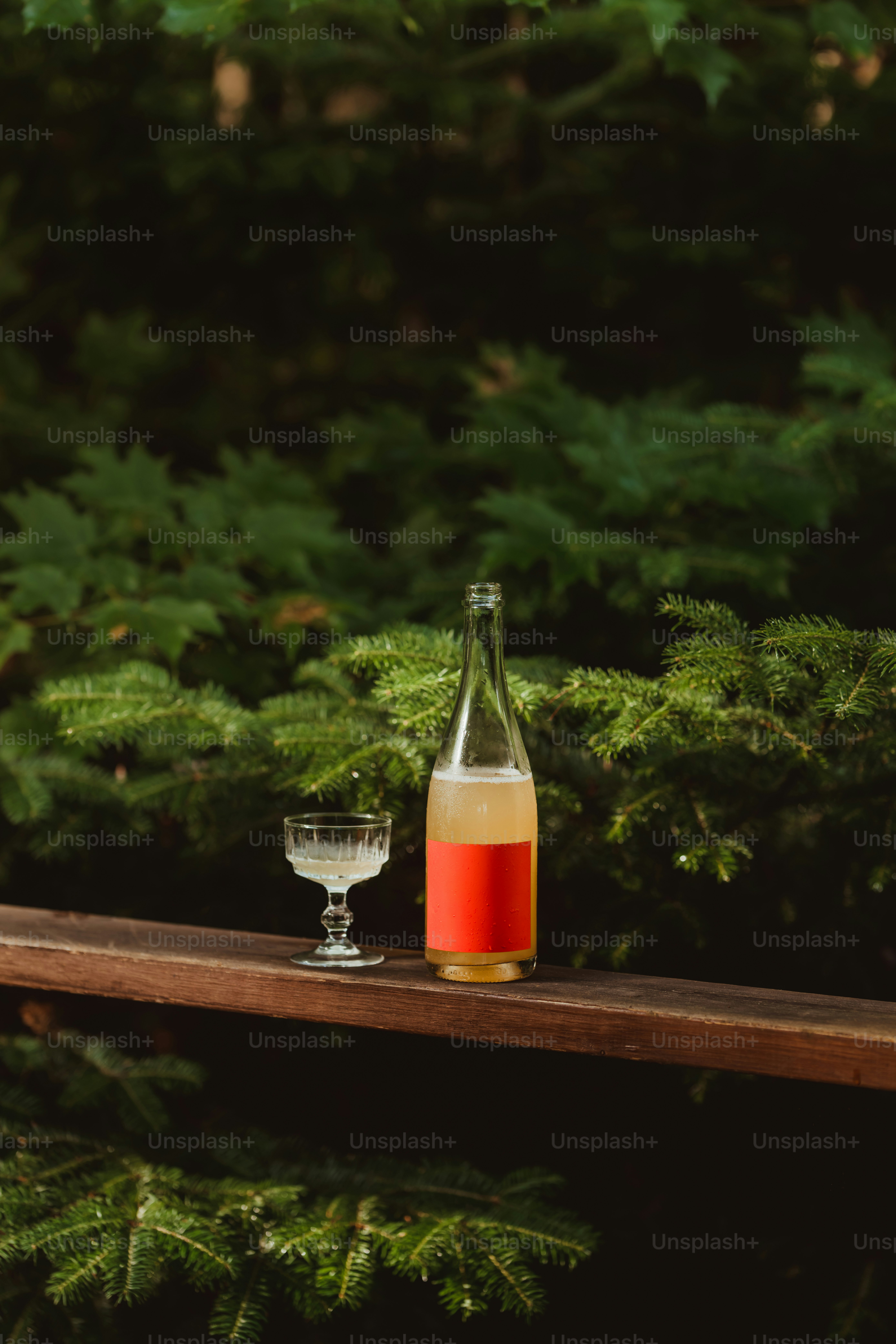 대구토킹바, 대구룸바, 대구바알바