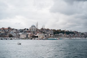 a large body of water with a city in the background