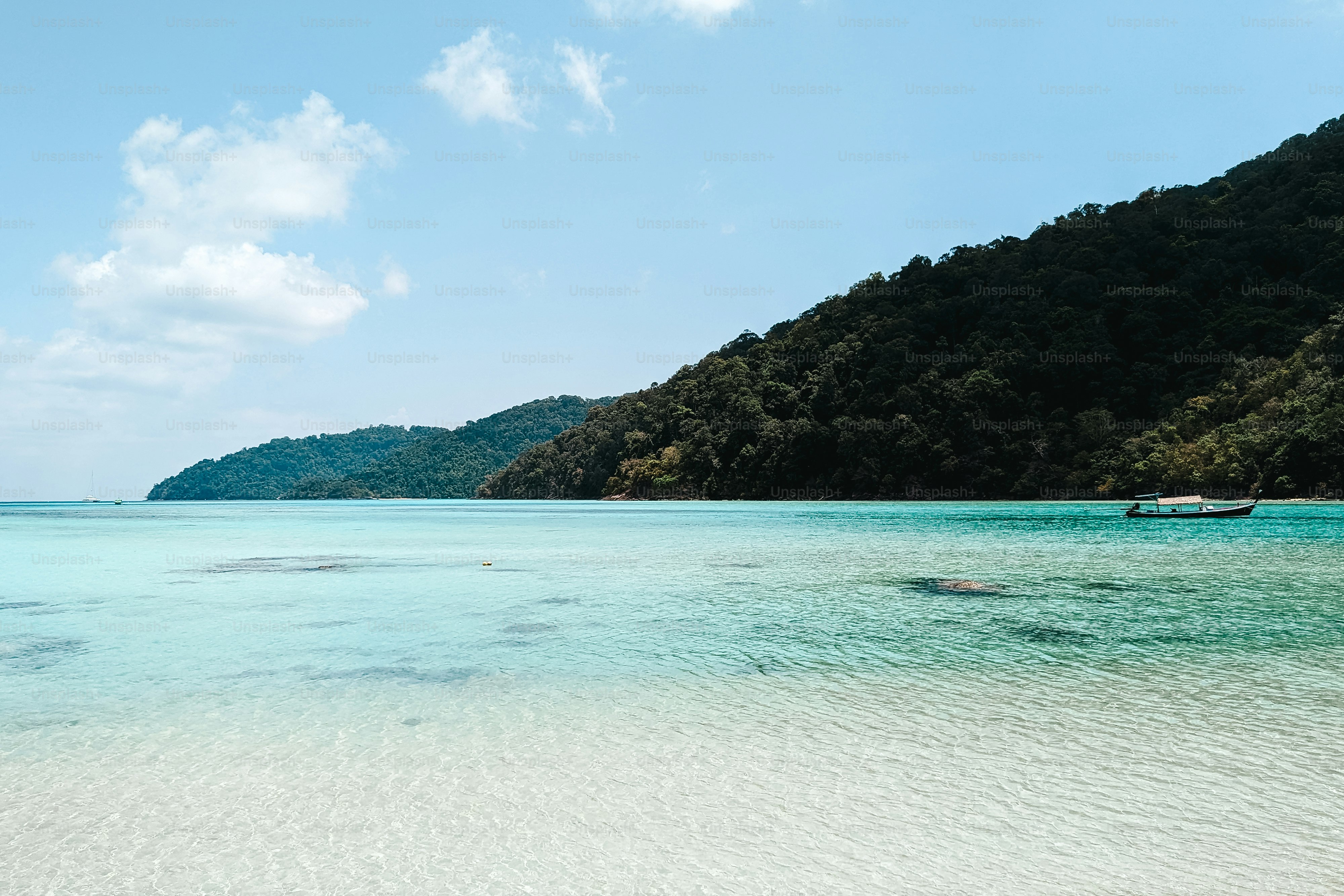 a body of water surrounded by mountains and trees