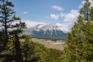 a view of a mountain range through the trees