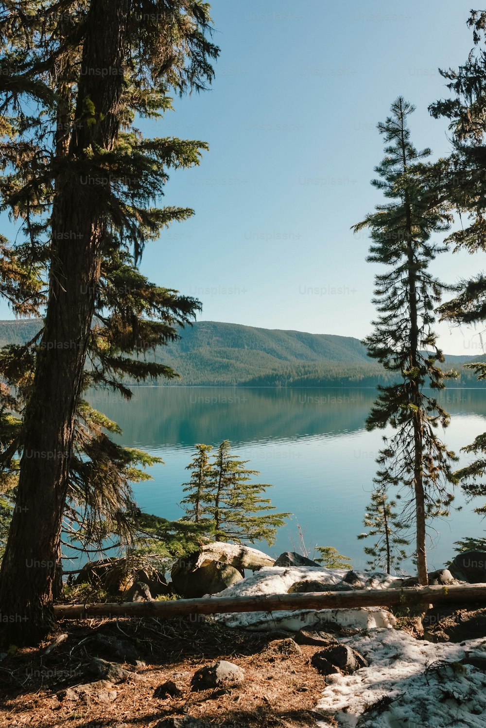 Una vista panorámica de un lago rodeado de árboles