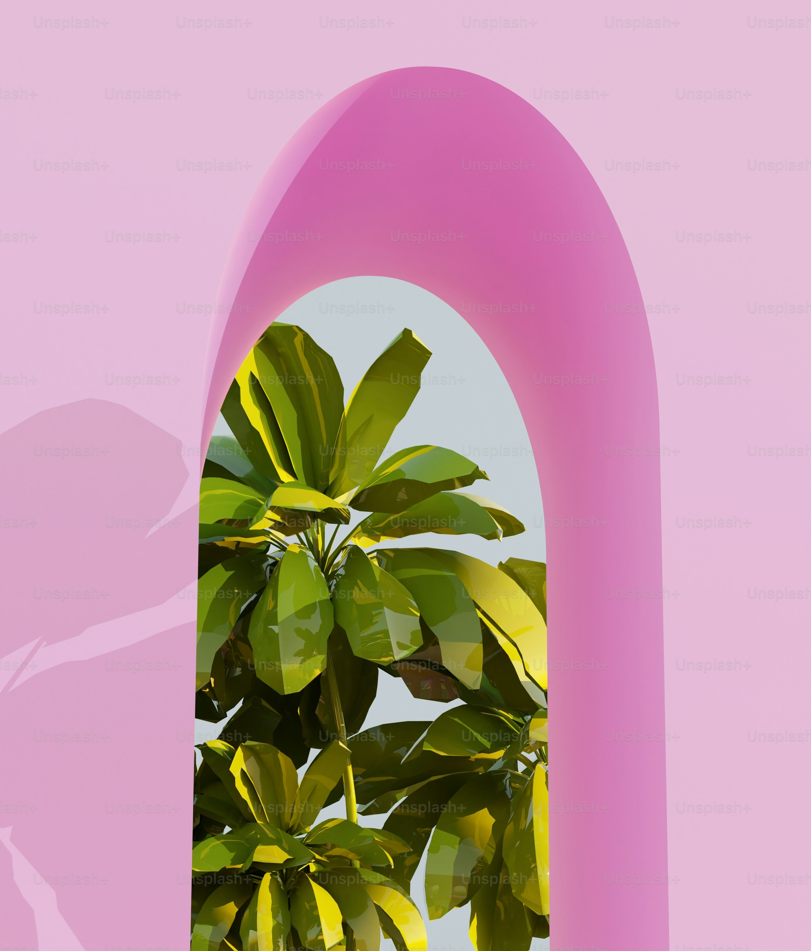 A pink arch with a plant in it photo – Colorful interiors Image on Unsplash