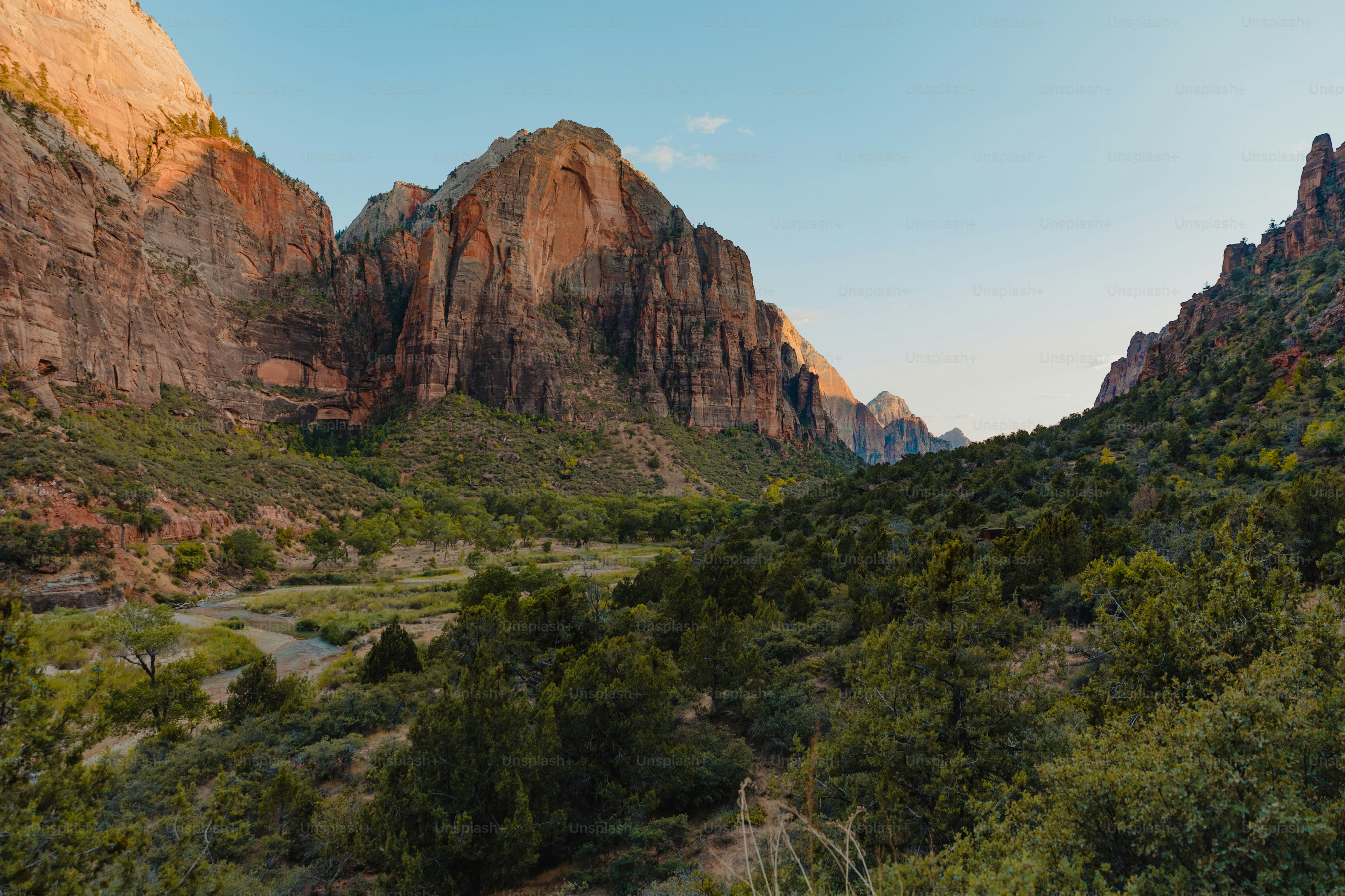 木々や茂みのある山脈の美しい景色