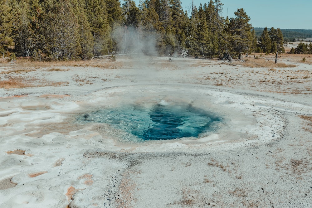 a hot spring surrounded by snow and trees