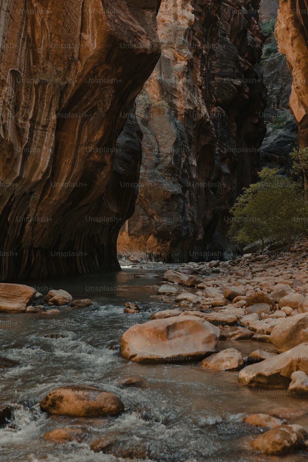 Ein Fluss, der durch eine von Felsen umgebene Schlucht fließt