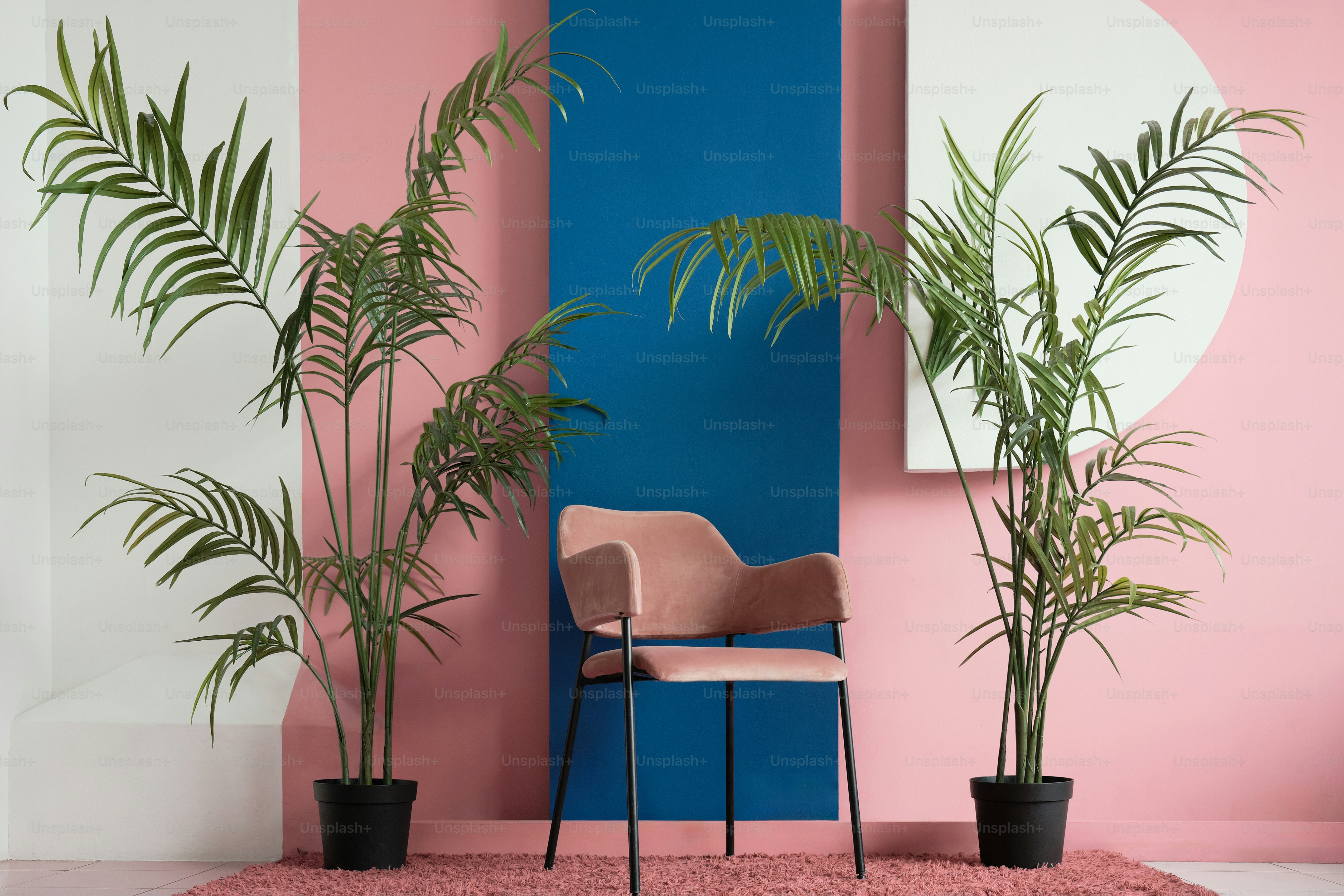 una sedia seduta di fronte a un muro rosa e blu