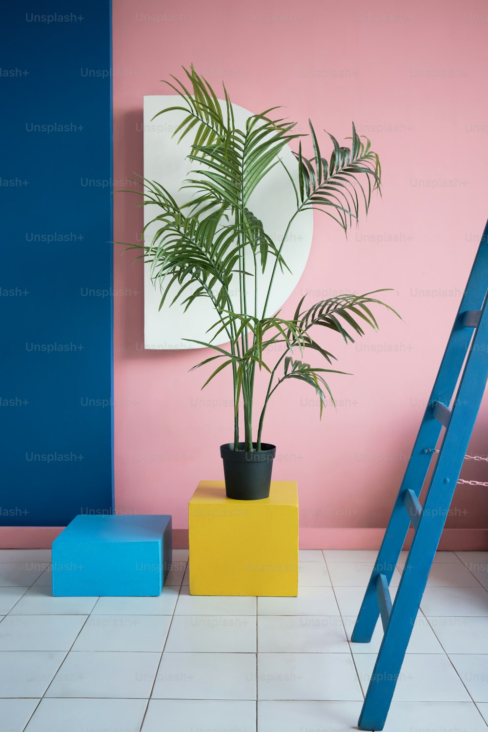 a potted plant sitting on top of a yellow box