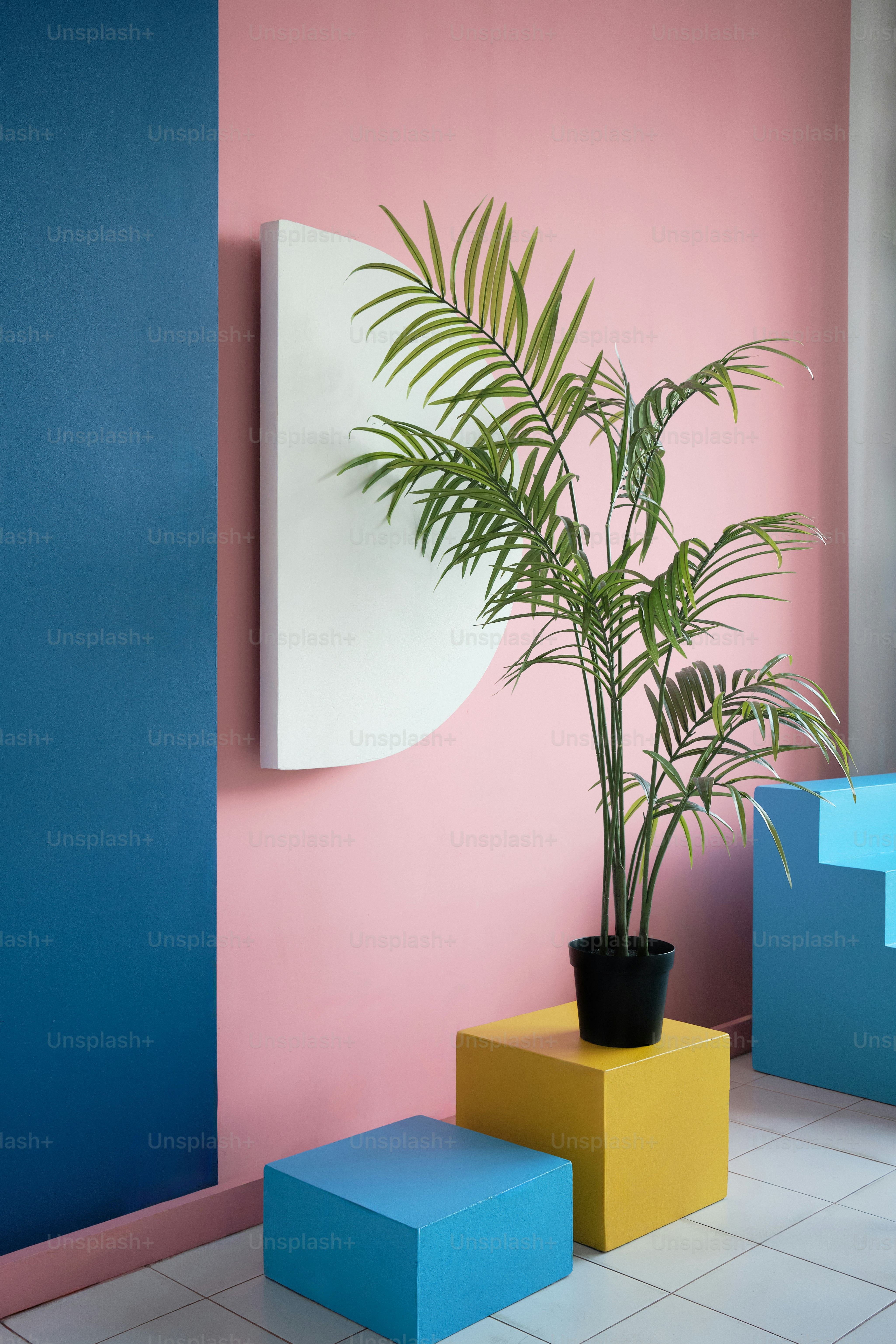 a potted plant sitting on top of a yellow and blue stool