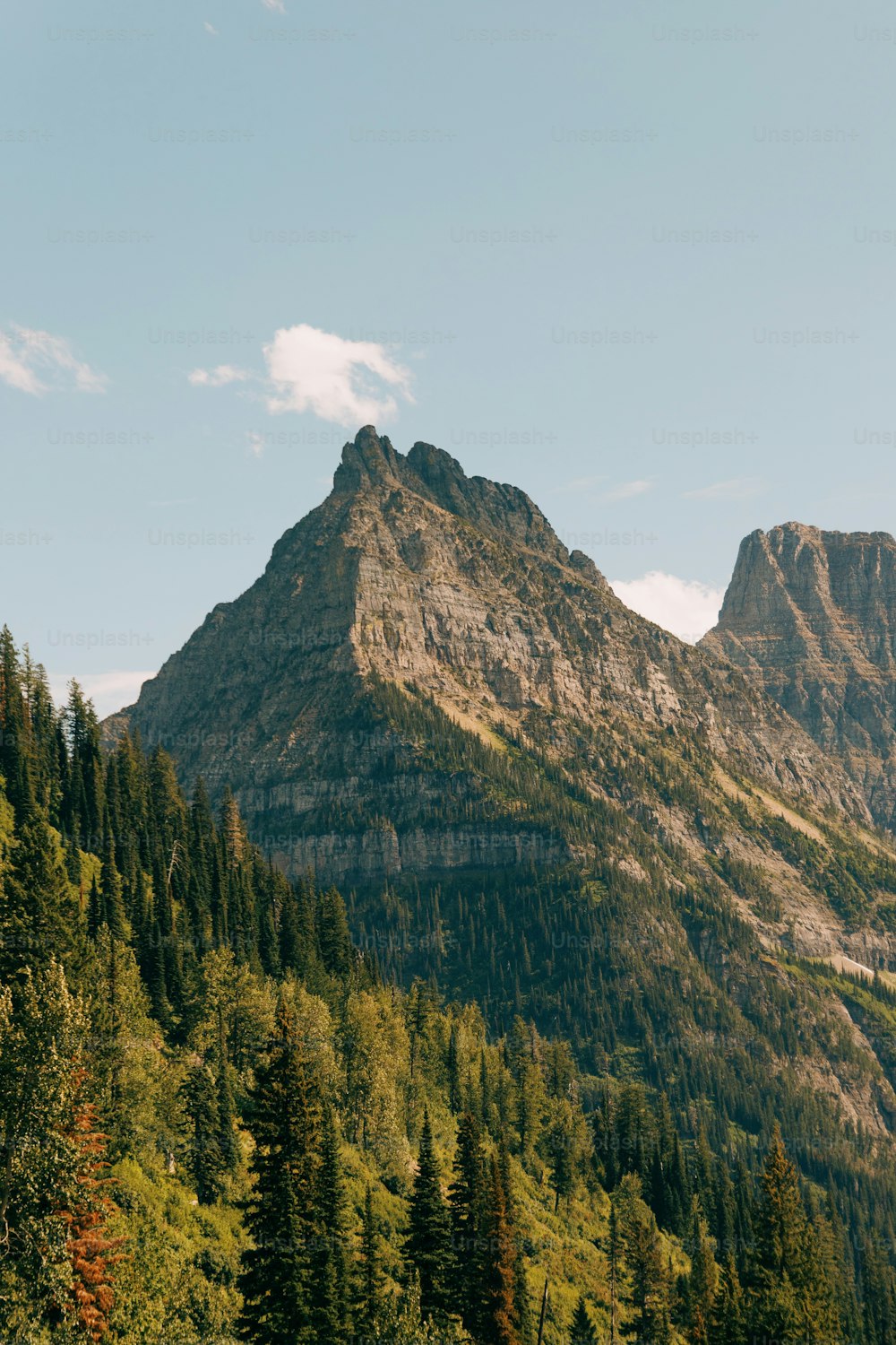 a large mountain with a forest in front of it