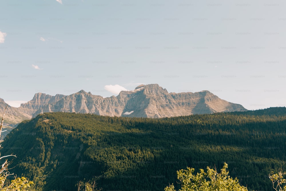 a view of a mountain range with trees in the foreground