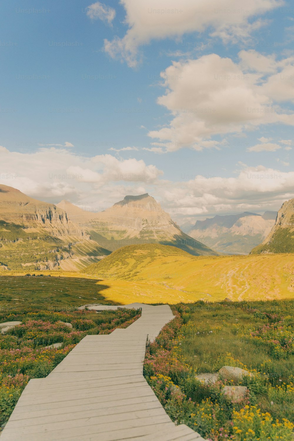 a wooden walkway leading to a valley with mountains in the background