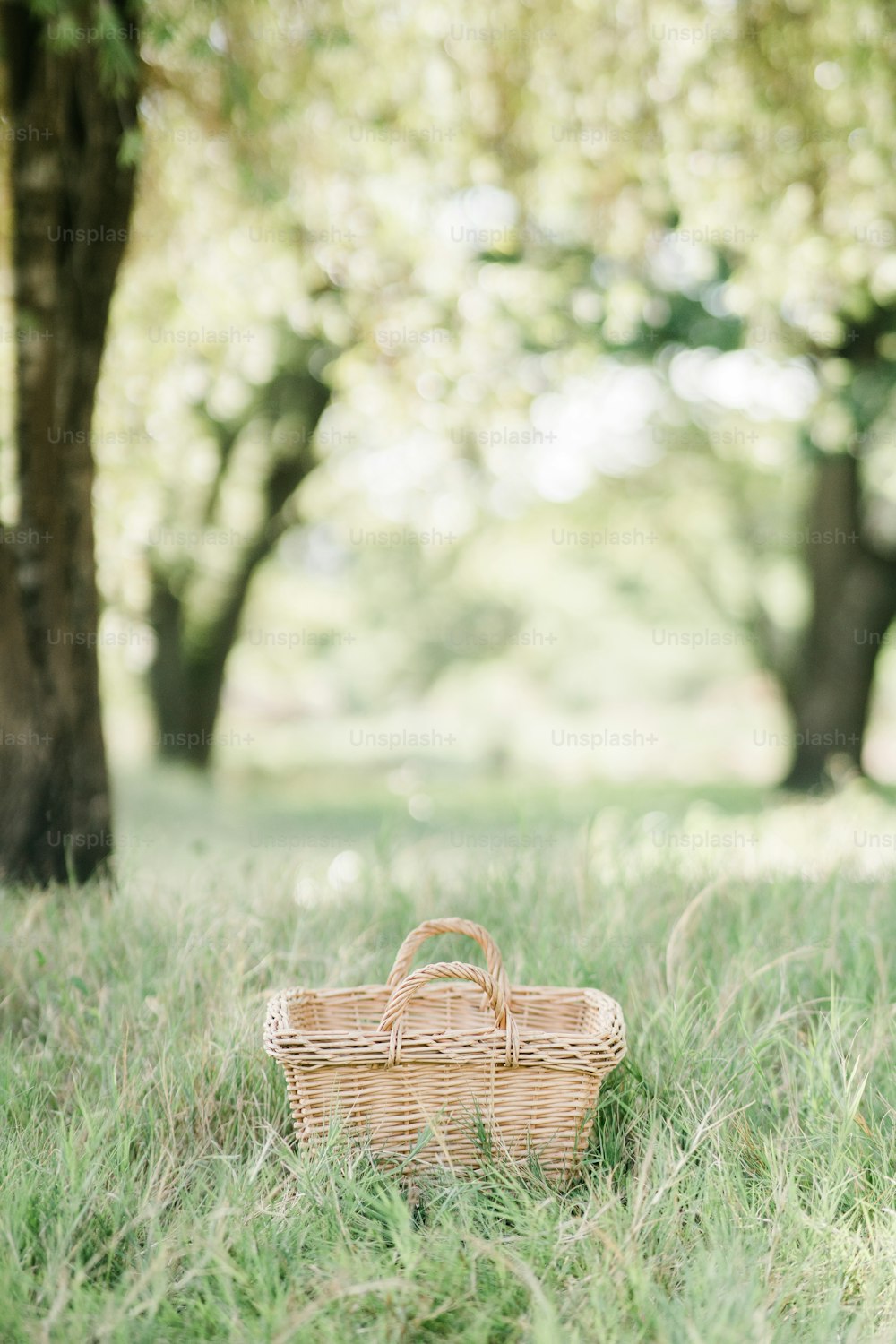 a wicker basket sitting in the middle of a field