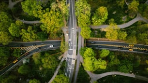 an aerial view of a road surrounded by trees