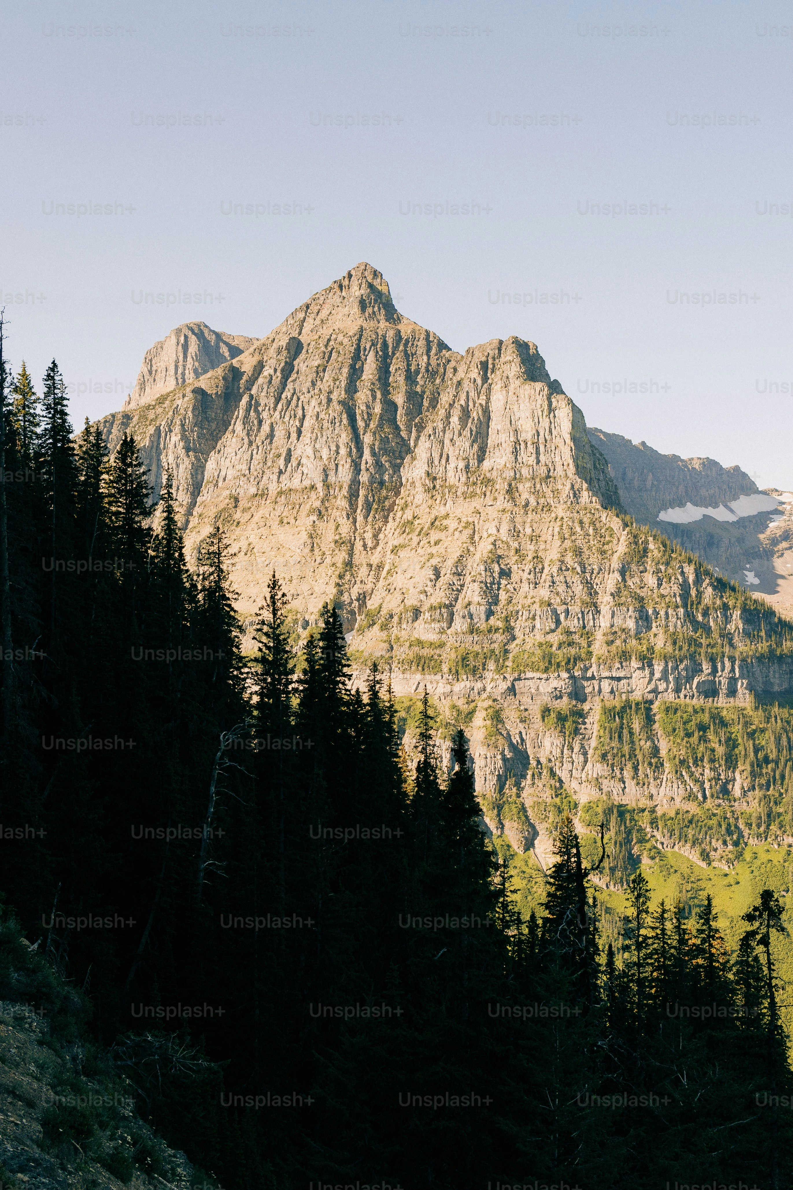 a view of a mountain range with trees in the foreground