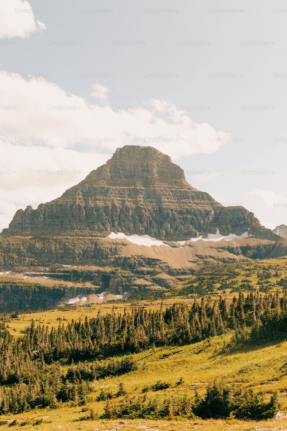 a large mountain with a few trees in the foreground