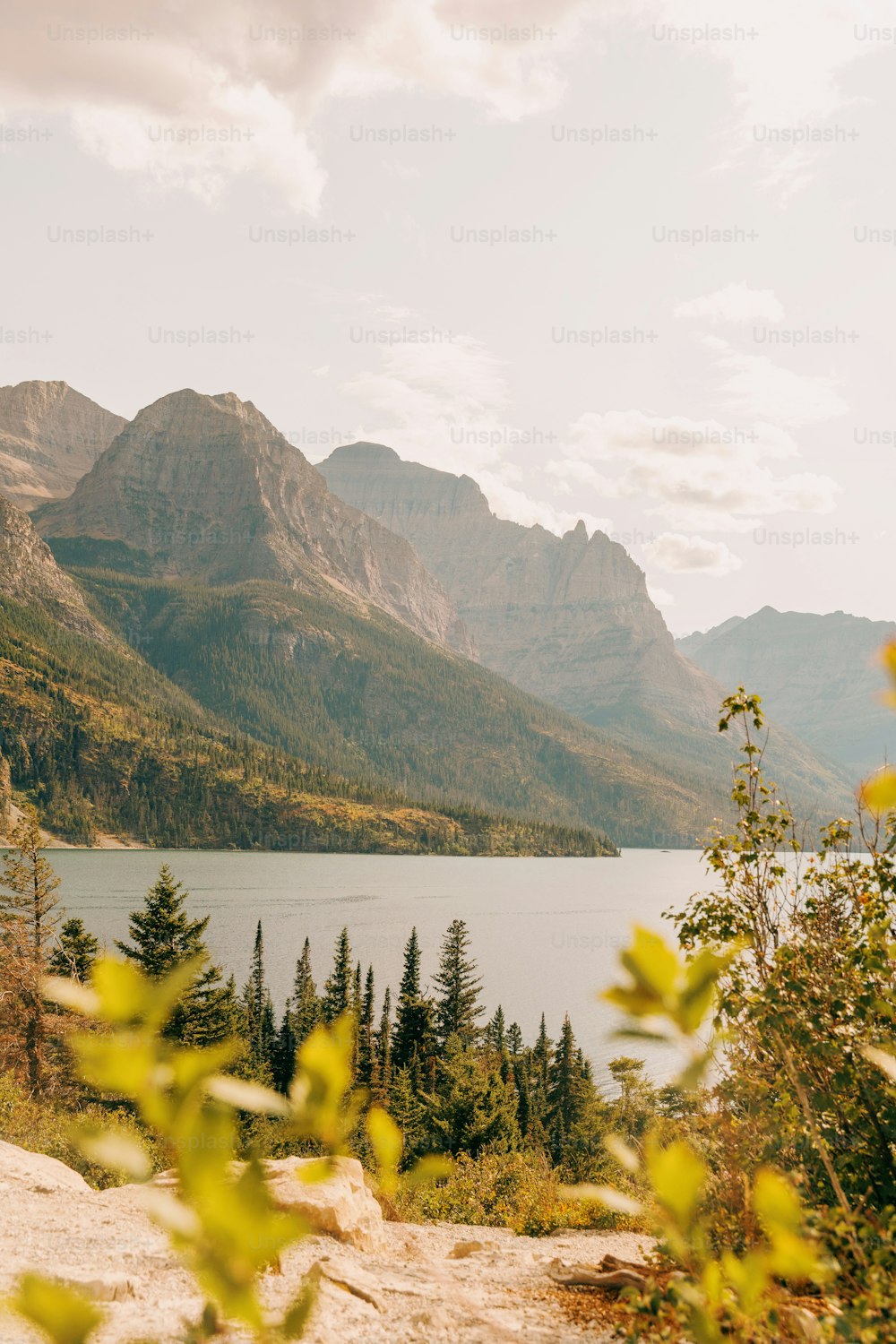 une vue panoramique sur un lac de montagne entouré d’arbres