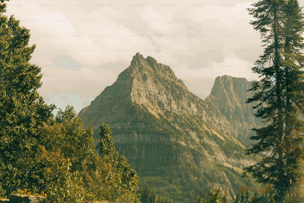 a view of a mountain range with trees in the foreground